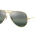 55-135-14 / 9196G6-Gold - Polarized