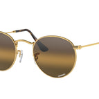 50-145-21 / 001/G5-Arista Gold - Polarized