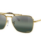 55-135-15 / 9196G6-Gold - Polarized