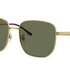 57-145-18 / 001/9A-Arista Gold - Polarized