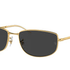 56-145-18 / 001/48-Arista Gold - Polarized