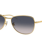 56-145-17 / 001/78-Arista Gold - Polarized