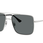 54-145-16 / 003/81-Silver - Polarized