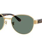 54-145-20 / 001/O9-Arista Gold - Polarized