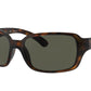 Ray-Ban RB4068 Square Sunglasses  894/58-Havana 60-130-17 - Color Map Tortoise