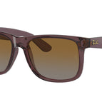51-145-16 / 6597T5-Transparent Dark Brown - Polarized