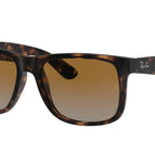 54-145-16 / 865/T5-Havana - Polarized