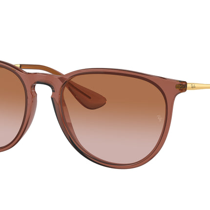 Ray-Ban ERIKA RB4171 Phantos Sunglasses  659013-Transparent Light Brown 54-145-18 - Color Map Brown