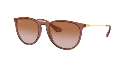 Ray-Ban ERIKA RB4171 Phantos Sunglasses  659013-Transparent Light Brown 54-145-18 - Color Map Brown