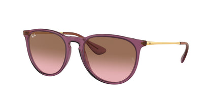 Ray-Ban ERIKA RB4171 Phantos Sunglasses  659114-Transparent Violet 54-145-18 - Color Map Violet