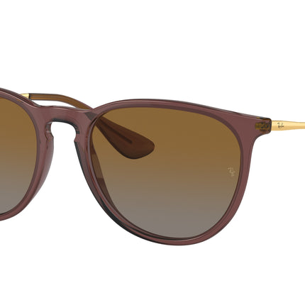 Ray-Ban ERIKA RB4171 Phantos Sunglasses  6593T5-Transparent Dark Brown 54-145-18 - Color Map Brown