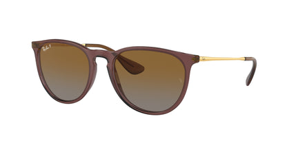 Ray-Ban ERIKA RB4171 Phantos Sunglasses  6593T5-Transparent Dark Brown 54-145-18 - Color Map Brown