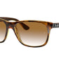 Ray-Ban RB4181 Square Sunglasses  710/51-Light Havana 57-145-16 - Color Map Tortoise