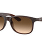 Ray-Ban ANDY RB4202 Square Sunglasses  607313-Brown 55-145-17 - Color Map Brown