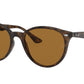 Ray-Ban RB4305F Phantos Sunglasses  710/83-Light Havana 53-150-19 - Color Map Tortoise