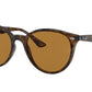 Ray-Ban RB4305 Phantos Sunglasses  710/83-Light Havana 53-145-19 - Color Map Tortoise