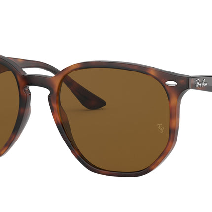 Ray-Ban RB4306F Irregular Sunglasses  710/83-Light Havana 54-150-19 - Color Map Tortoise