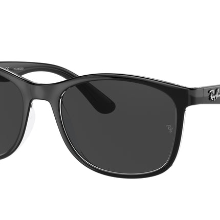 Ray-Ban RB4374 Square Sunglasses  603948-Black On Transparent 56-145-19 - Color Map Black