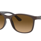 56-145-19 / 6600M2-Brown On Grey - Polarized