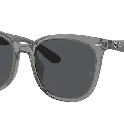 Ray-Ban RB4379D Square Sunglasses  659987-Transparent Grey 55-150-19 - Color Map Grey