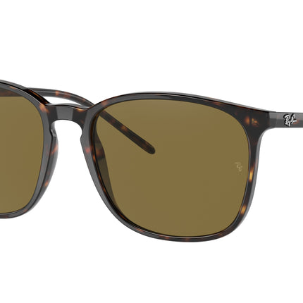 Ray-Ban RB4387F Square Sunglasses  902/73-Tortoise 55-145-18 - Color Map Tortoise