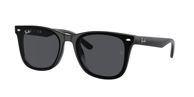 Ray-Ban RB4420 Square Sunglasses  601/87-Black 65-145-18 - Color Map Black