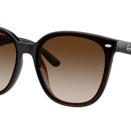 Ray-Ban RB4423D Square Sunglasses  714/13-Transparent Brown 66-145-15 - Color Map Brown