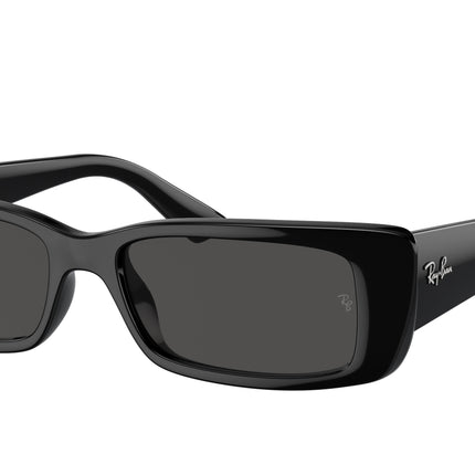 Ray-Ban TERU RB4425F Rectangle Sunglasses  667787-Black 54-145-17 - Color Map Black