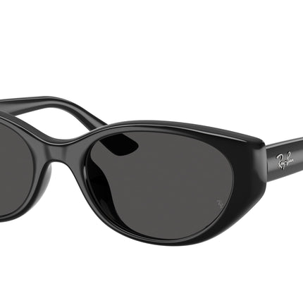 Ray-Ban RB4457D Pillow Sunglasses  667787-Black 55-145-19 - Color Map Black