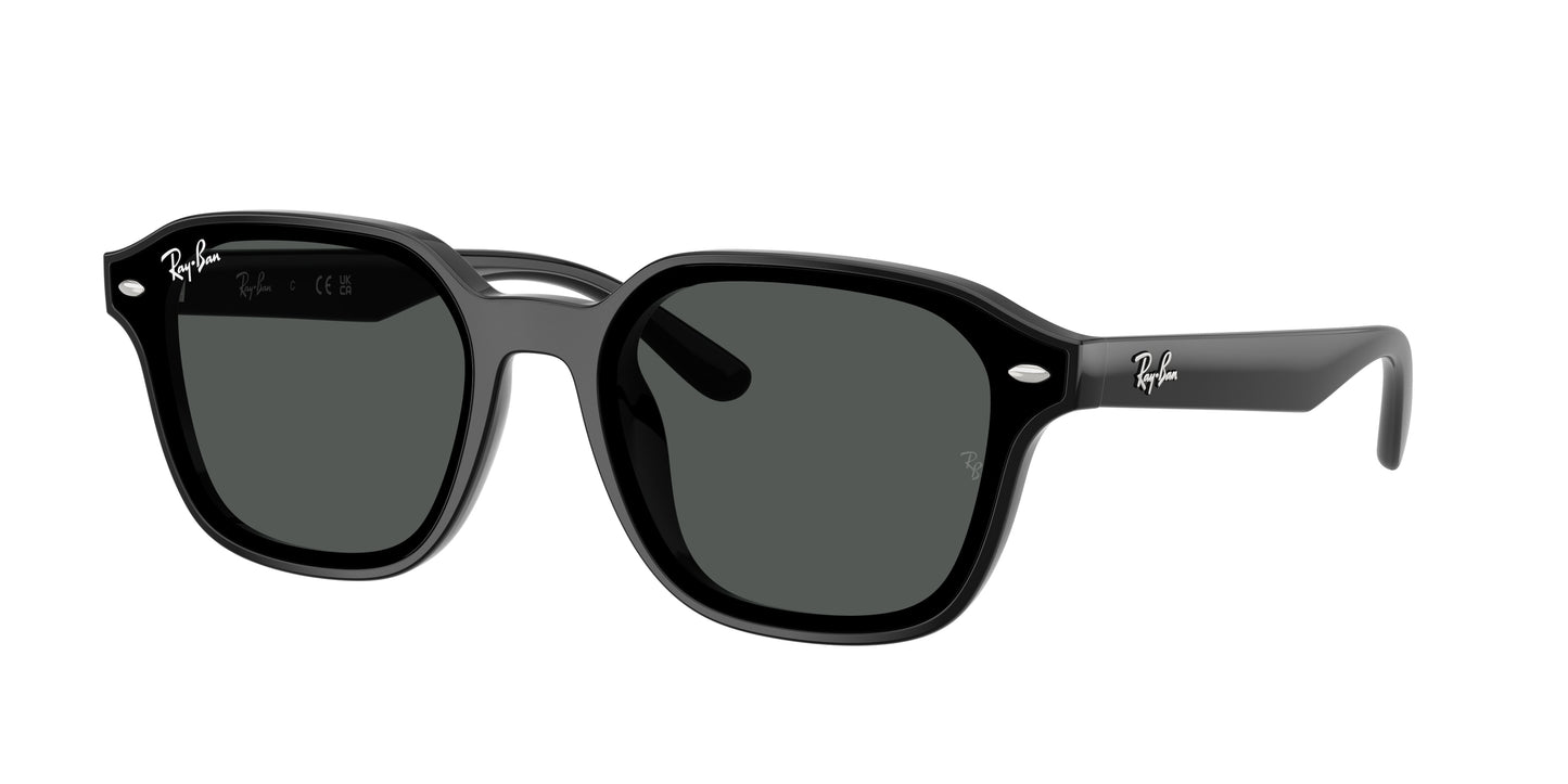 Ray-Ban RB4458D Square Sunglasses  601/87-Black 65-145-18 - Color Map Black
