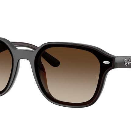 Ray-Ban RB4458D Square Sunglasses  714/13-Transparent Dark Brown 65-145-18 - Color Map Brown