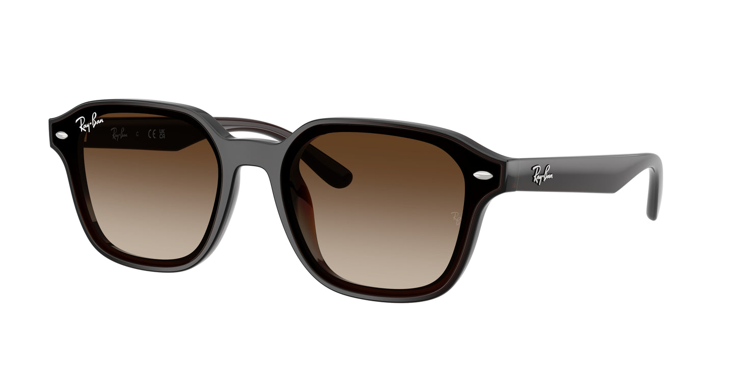 Ray-Ban RB4458D Square Sunglasses  714/13-Transparent Dark Brown 65-145-18 - Color Map Brown