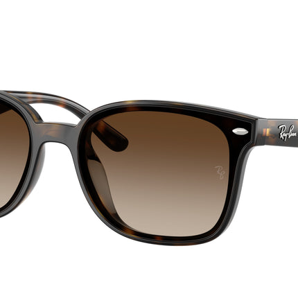 Ray-Ban RB4461D Rectangle Sunglasses  710/13-Havana 64-145-17 - Color Map Tortoise