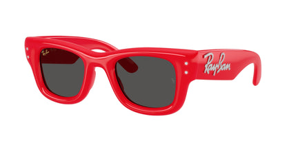 Ray-Ban WAYFARER PUFFER RB4940B Square Sunglasses  686187- 47-145-23 - Color Map Red