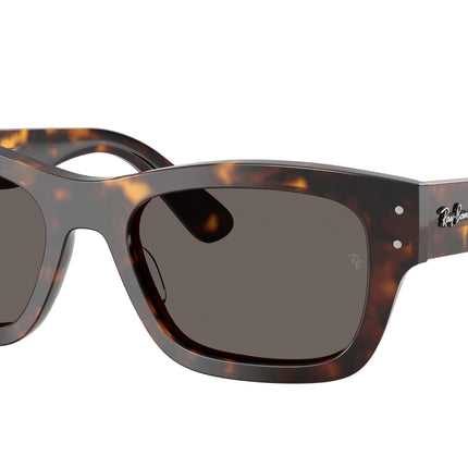 Ray-Ban JOSEPH RB7683S Rectangle Sunglasses  902/B1-Havana 55-145-20 - Color Map Tortoise