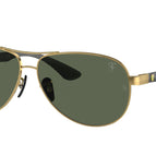 61-140-13 / F00871-Arista Gold