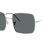 54-140-19 / 003/81-Silver - Polarized