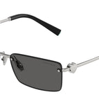 60-140-15 / 6001S4-Silver