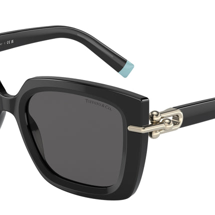 Tiffany TF4199 Butterfly Sunglasses  8001S4-Black 53-140-18 - Color Map Black