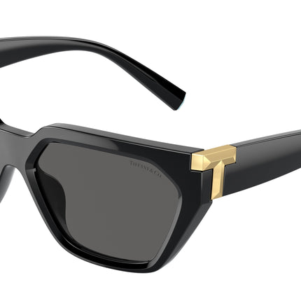 Tiffany TF4205U Irregular Sunglasses  8001S4-Black 56-140-14 - Color Map Black