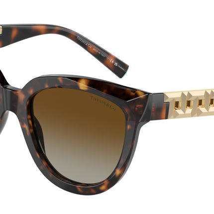 Tiffany TF4215 Cat Eye Sunglasses  8015T5-Havana 53-140-19 - Color Map Tortoise