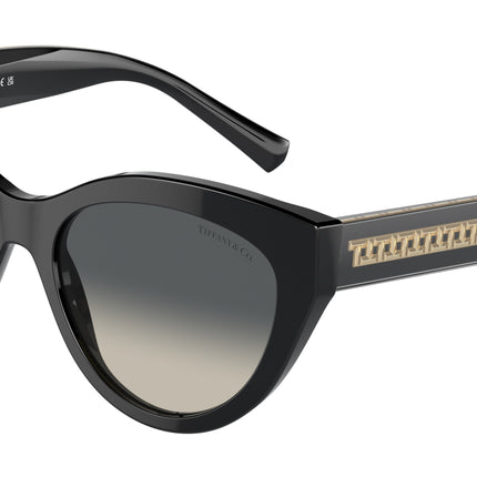 Tiffany TF4220 Cat Eye Sunglasses  800171-Black 54-140-18 - Color Map Black