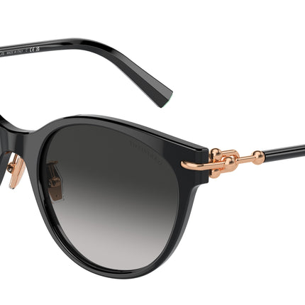 Tiffany TF4223D Cat Eye Sunglasses  80013C-Black 54-140-20 - Color Map Black