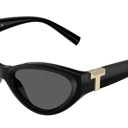Tiffany TF4225U Oval Sunglasses  8001S4-Black 54-140-17 - Color Map Black