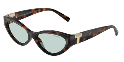 Tiffany TF4225U Oval Sunglasses  8429D9-Havana 54-140-17 - Color Map Tortoise