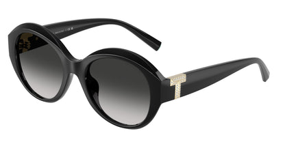 Tiffany TF4227BU Round Sunglasses  80013C-Black 53-140-19 - Color Map Black