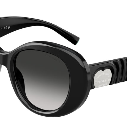 Tiffany TF4228F Round Sunglasses  80013C-Black 52-140-18 - Color Map Black