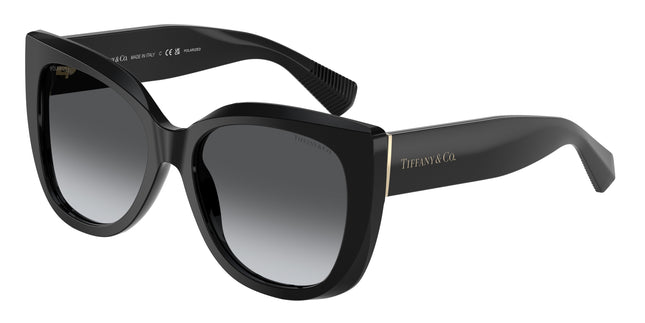 Tiffany TF4229 Square Sunglasses  8001T3-Black 55-140-17 - Color Map Black