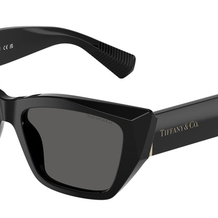 Tiffany TF4230F Cat Eye Sunglasses  8001S4-Black 54-140-17 - Color Map Black