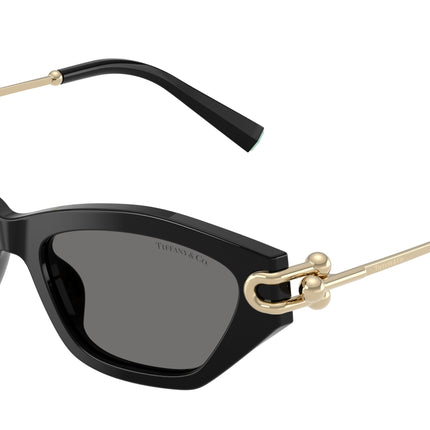 Tiffany TF4231U Cat Eye Sunglasses  800181-Black 53-140-17 - Color Map Black